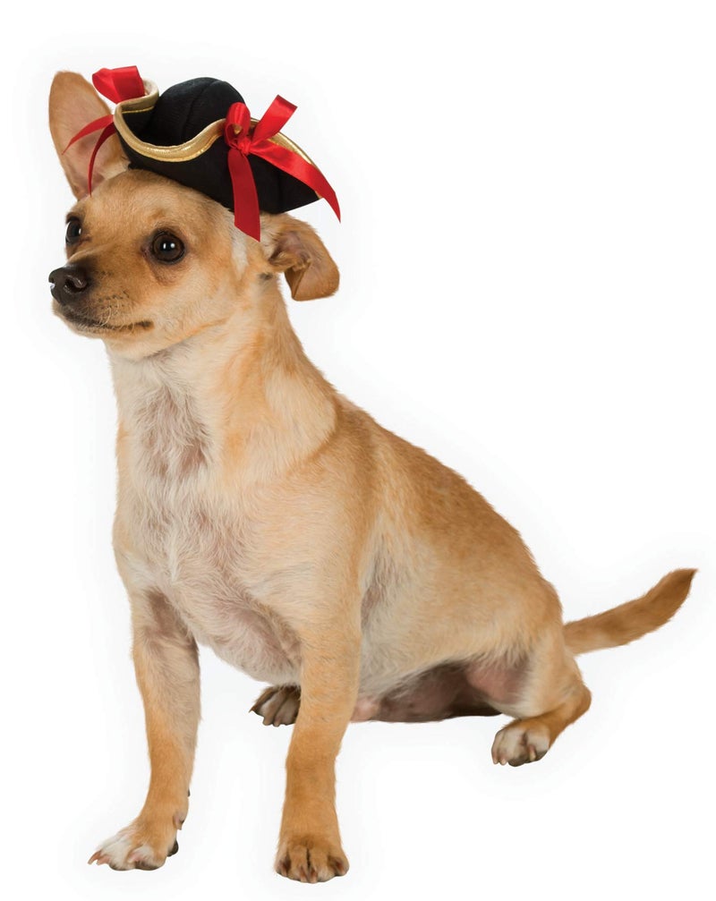Rubies Pirate Pet Hat for Dogs or Cats, S/M - Image 1